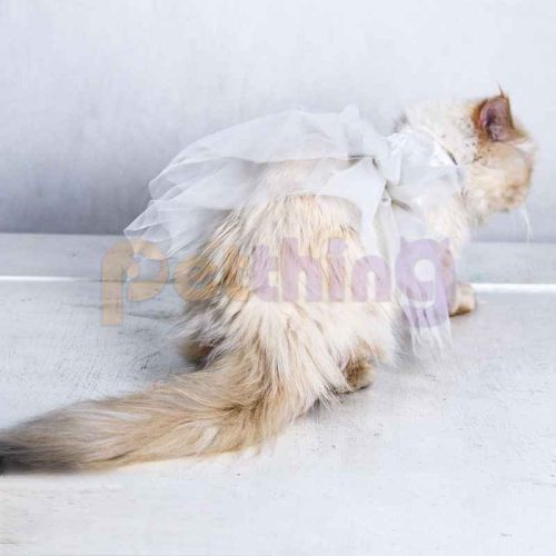 پیراهن عروس اکلیلی سگ و گربه مدل 06f